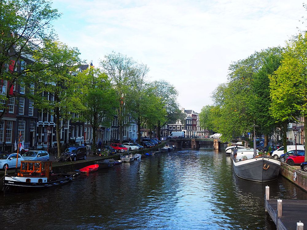 view down a canal, lined by trees and rowhouses on both sides, and boats moored along the sides.