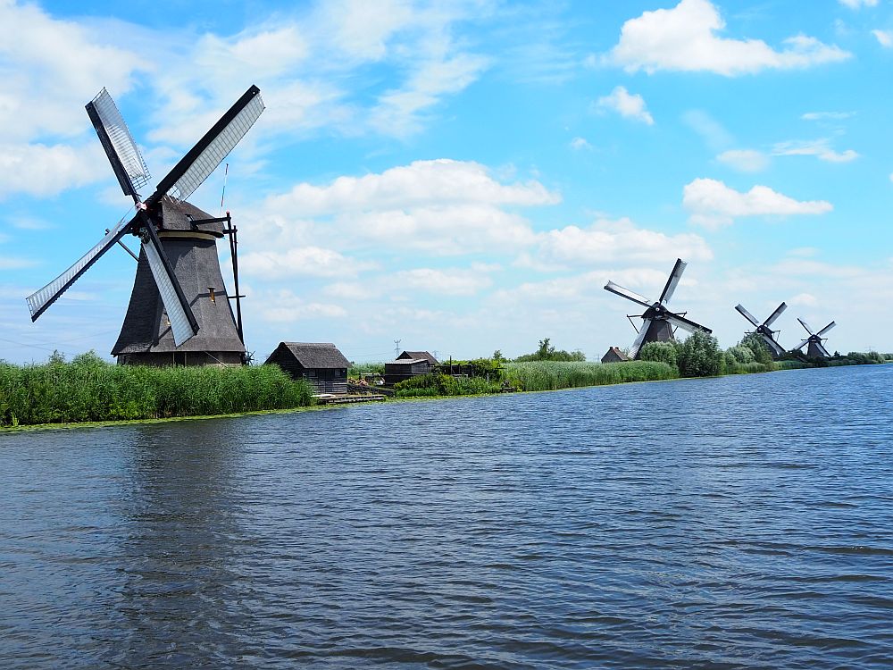 Water in the foreground, looking across to the opposite bank, where 4 windmills line the canal.