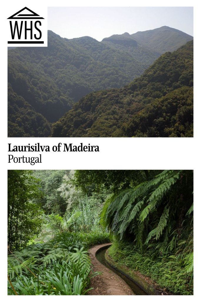 Text: Laurisilva of Madeira, Portugal.
Images: Top, a view over Laurisilva forest: mountains and valleys covered in green woods. Bottom, a narrow path through thick growth with a small water channel carved next to it.