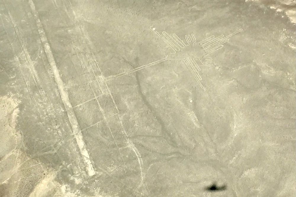 A view from above of a light brown landscape, like a desert. A few roads cut through it and to the right of them, an outline of a bird with a long beak and lots of simple wing and tail feathers. Below that is the shadow of the airplane.