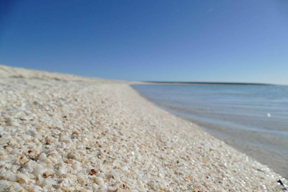 Looking along a pristine white-sand beach. 