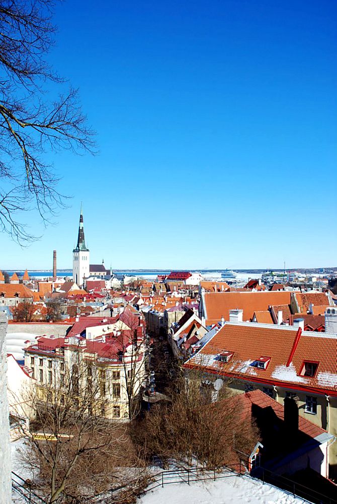 A view over the old city of Tallinn in the snow. Red and orange roofs, and a white church spire against a blue sky.