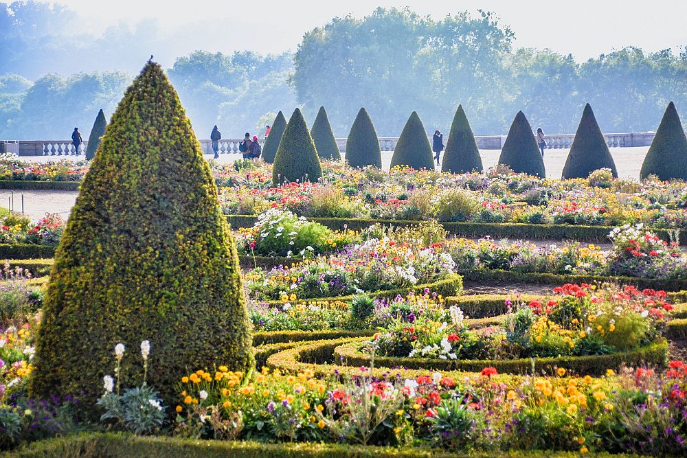 A section of Versailles gardens, with neatly-rimmed evergreens in a conical shape, low hedges in curved lines and very colorful flowers between the hedges.