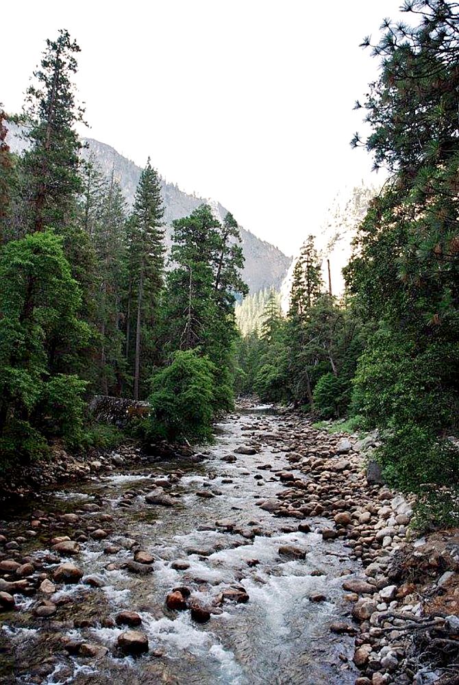 A rocky stream, water flowing through it between wooded riverbanks.