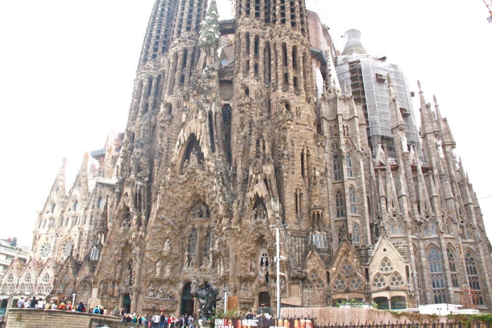 A partial view of the Sagrada Familia cathedral (i.e. the spires are not visible). It is made of brown stone but the shapes are all very organic looking: like it's a thick tree trunk growing out of the ground in vertical but rounded lines.