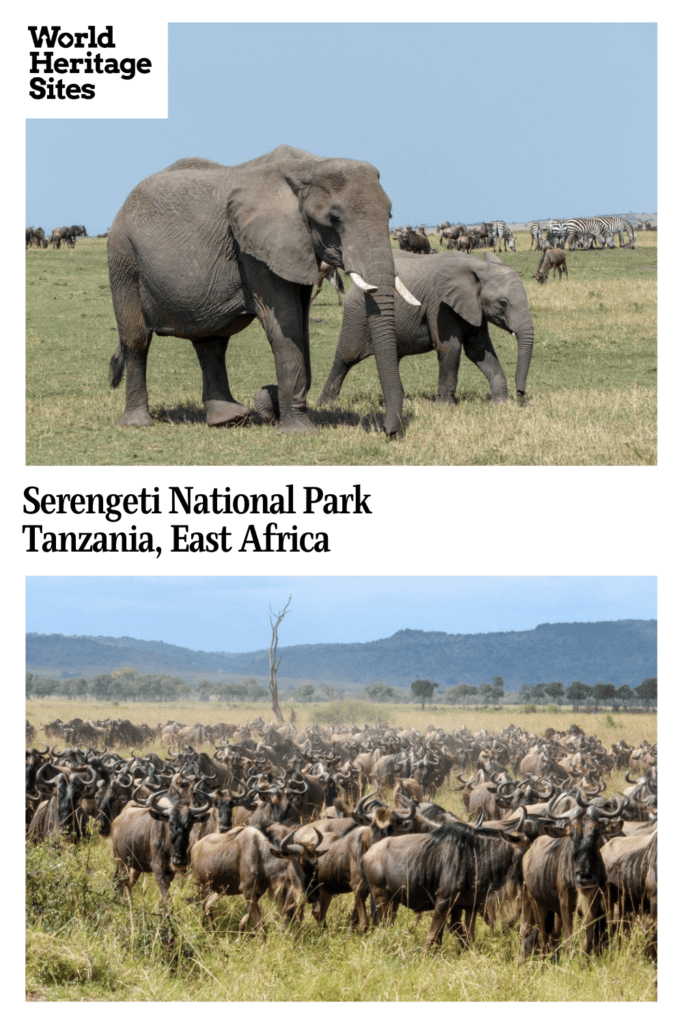 Text: Serengeti National Park, Tanzania, East Africa. Images: Above, an elephant and her calf; below, a migration of various grazers.