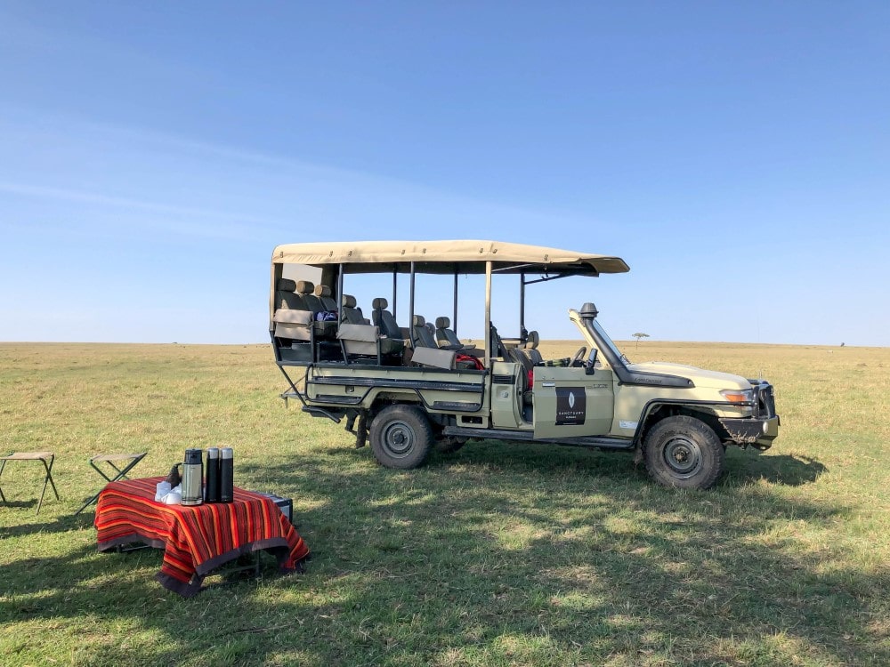 An open-sided jeep with a roof over the seats stands in a large field of short grass. Next to it, in the shade from a tree, a picnic table is covered with a bright red cloth and has some containers of food, presumably, on it.