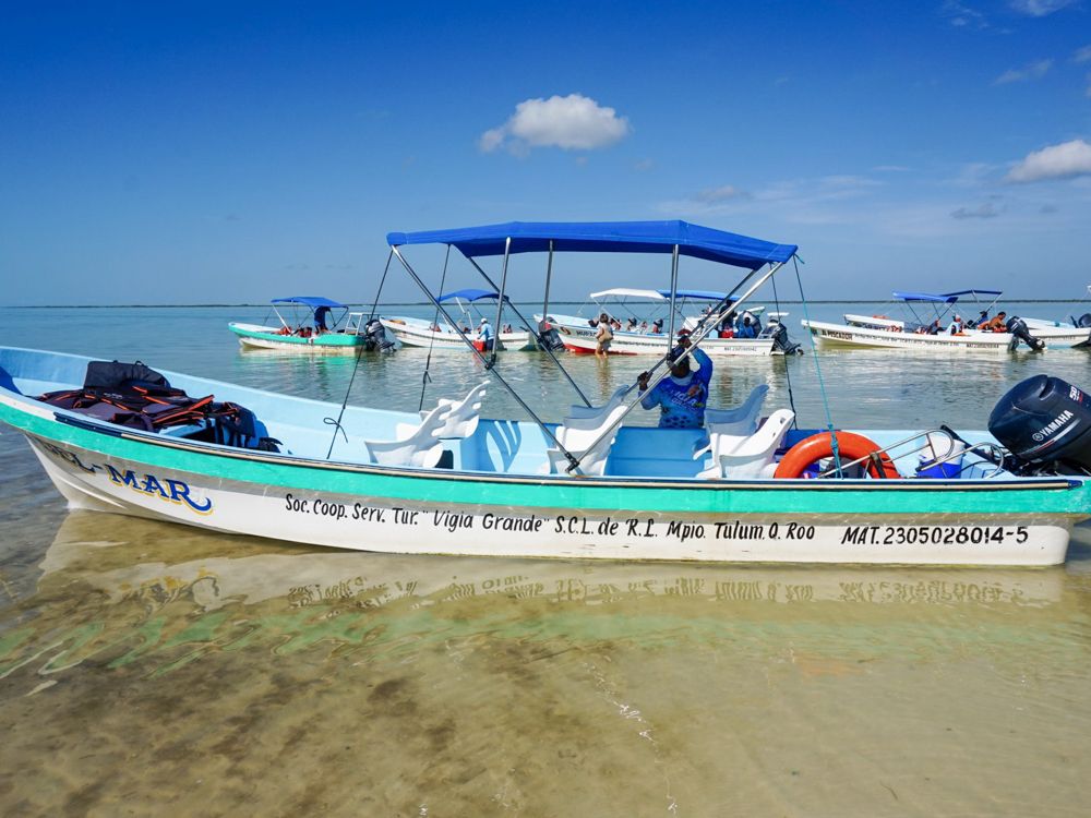 A small motorboat: it is a simple open boat with a small shade over the middle third of its length. It has an outboard motor at the back and perhaps 6 or so chairs in the middle. It is in very shallow water where the sand is visible on the bottom. Beyond it are a number of similar small boats.