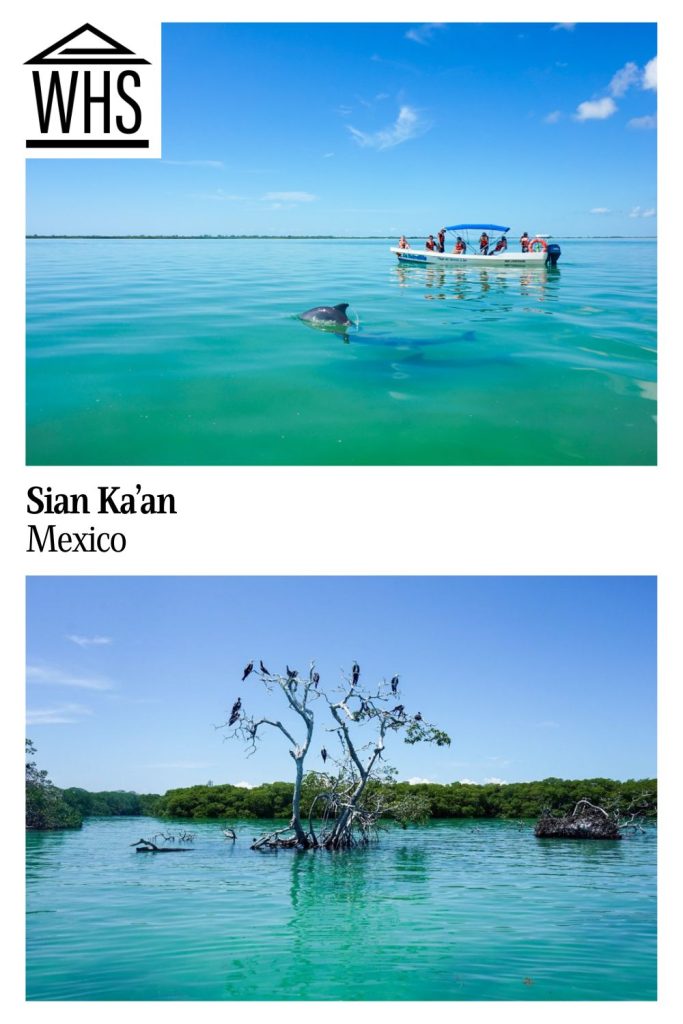 Text: Sian Ka'an, Mexico.
Images: Top, small tourist boat on bright greenish-blue water with dolphins. Bottom, bare tree poking out of bright blue-green water with many large birds in its branches.