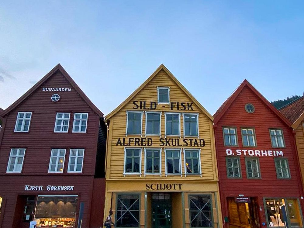 Three of the warehouses in Bryggen, now stores. All have 3 floors: a shop on the ground floor and two stories above that with rows of 3-4 windows across. All have a peaked roof, with one smaller window in the center. Left: dark red, with the word Bugaarden at its peak and Kjetil Sorensen above the shop. Middle: mustard yellow with the words Sild -Fisk / Alfred Skulstad / Schjott. Right, red with O.Storheim painted on it.