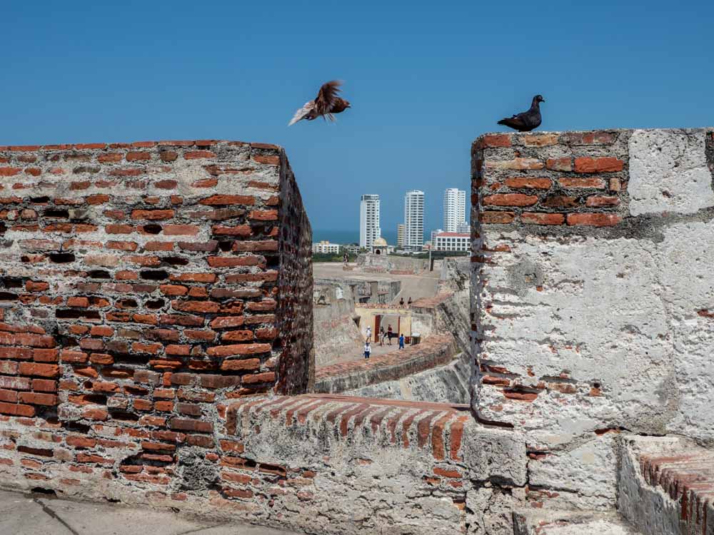 A view between two parts of a thick fortress wall made of bricks. In the distance, skyscrapers and the sea. A pigeon perches on the wall, while another flies from one section to the other.