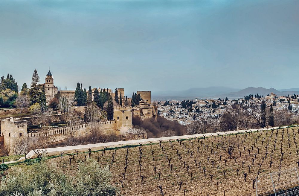 A view over, in the foreground, a vineyard. Beyond that, on the left a series of walls with crenellations and assorted towers and on the right, a view over the lower city.