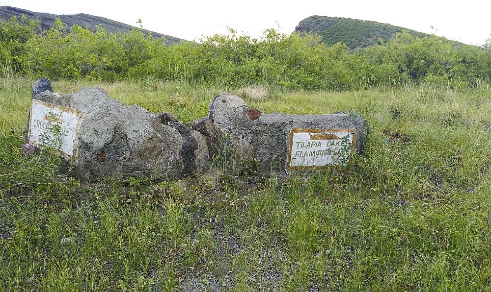Stones in a grassy field painted with signs. ON the left, with an arrow to the left, "Crocodile Lake". On the right, with an arrow to the right, "Tilapia Lake. Flamingo Lake."