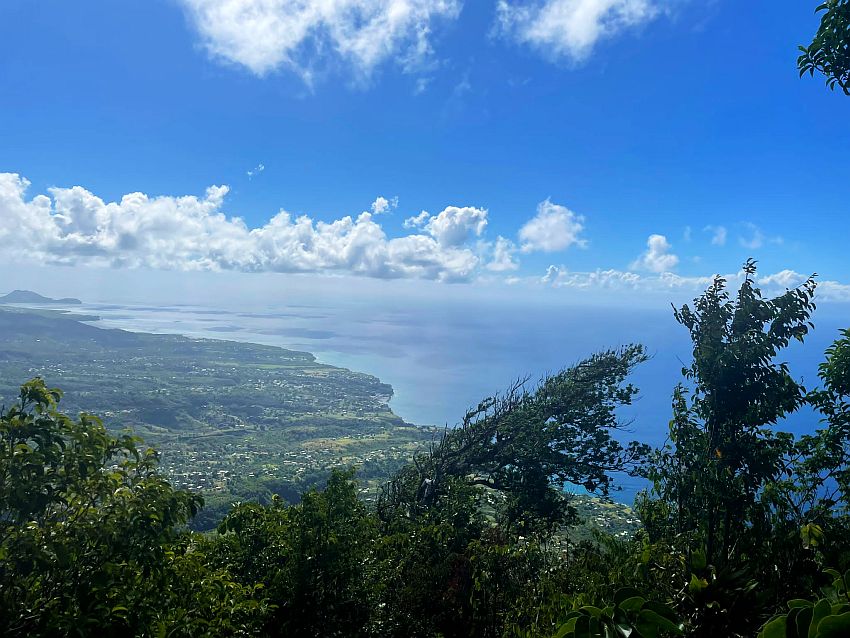 With the tops of a few trees visible in the foreground, most of the photo shows a very faraway view of a flat part of the island, very green with a scattering of houses, and the sea. The fluffy clouds in the blue sky appear to be at about the same height as the camera.