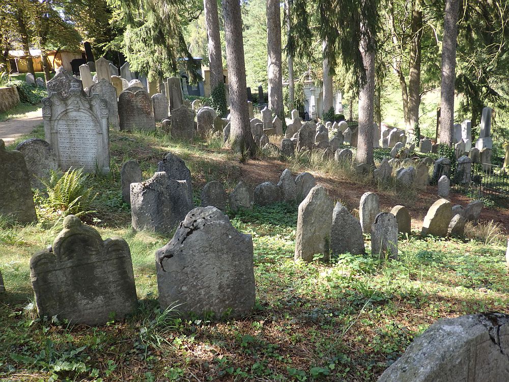 The cemetery is on a slope and has quite old and leaning stones, more or less in rows. There are trees among them and the ground is dappled in light and shadow.