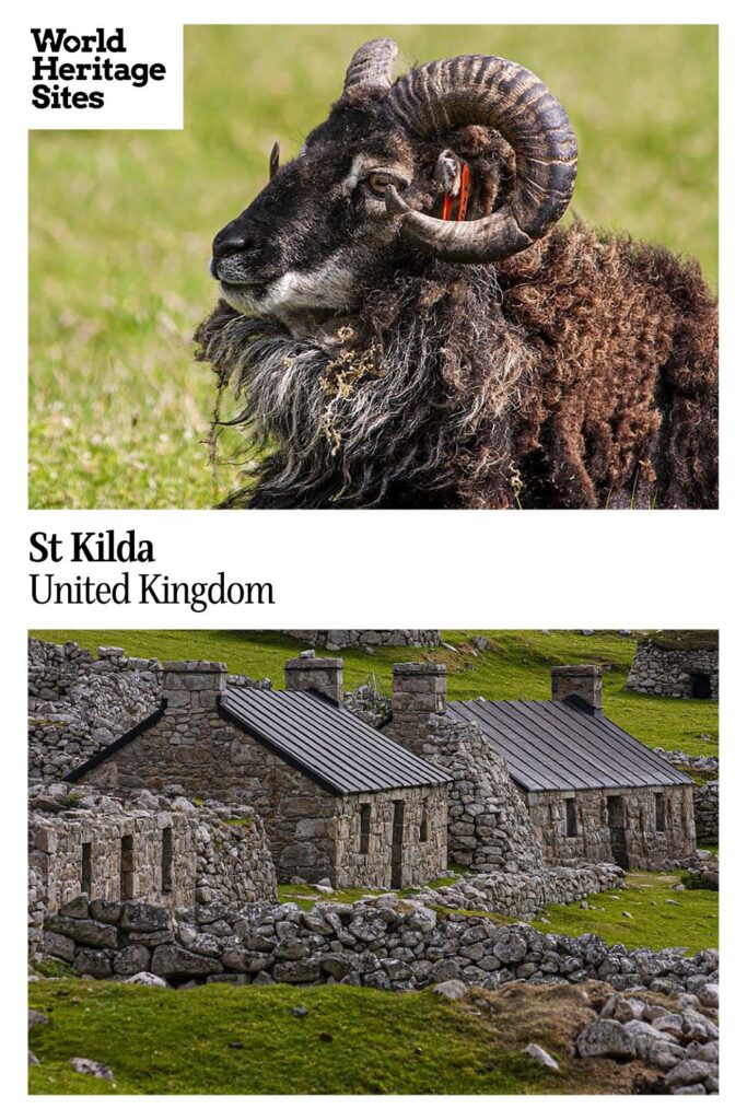 Text: St Kilda, United Kingdom. Images: above, a shaggy ram; below, two stone houses.