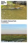 Text: Everglades National Park, United States. Images: above, an alligator in the water; below, a view over the grassy wetlands.