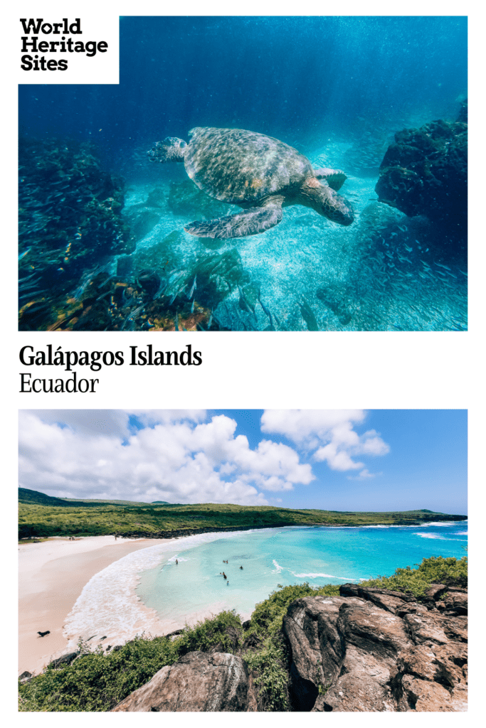 Text: Galapagos Islands, Ecuador. Images: above, a sea turtle; below, a view of a beachy cove.