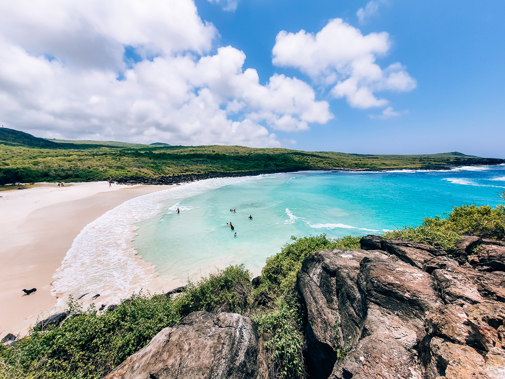 View from a height over a white sand beach in a bay, enclosed by land on either side. Turquoise blue water, a few scattered people and seals.