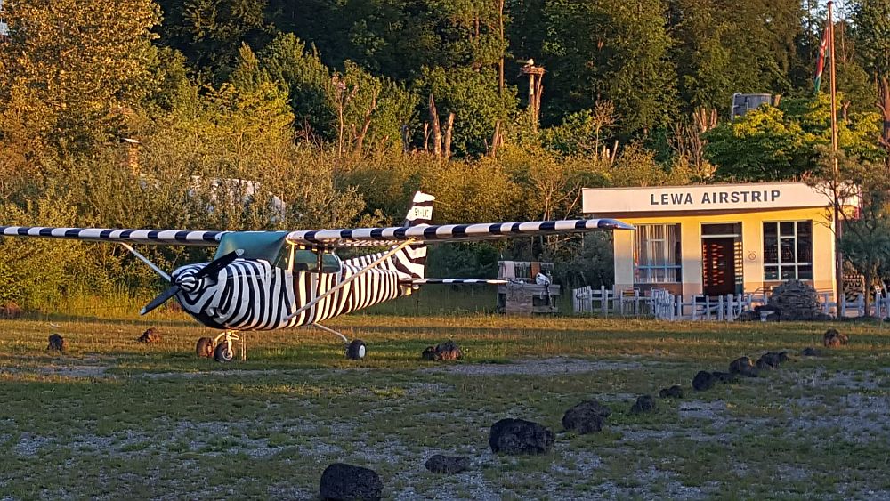 A small, single-engine plane stands on a grassy airstrip. It is painted in stripes like a zebra. Behind it, a small building with the words "Lewa Airstrip"