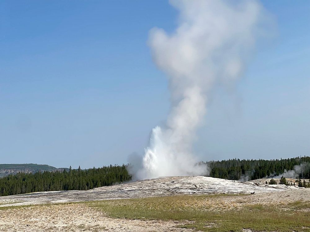 A geyser throws water and steam into the air.