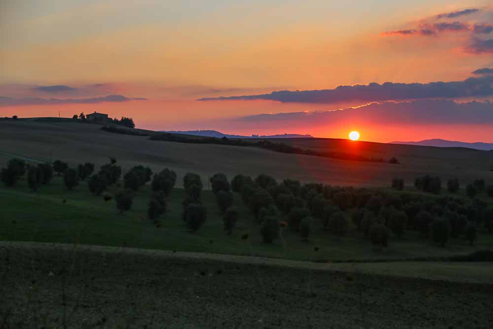 The sun setting redly over a Val d'Orcia landscape: rolling hills, rows of trees in an orchard.