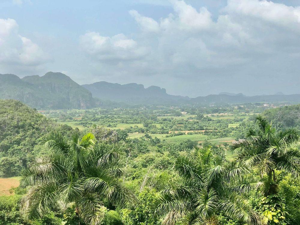 A long view over Viñales Valley: the flat green floor of the valley dotted with trees, and the karst mountains in the background against a cloudy sky.