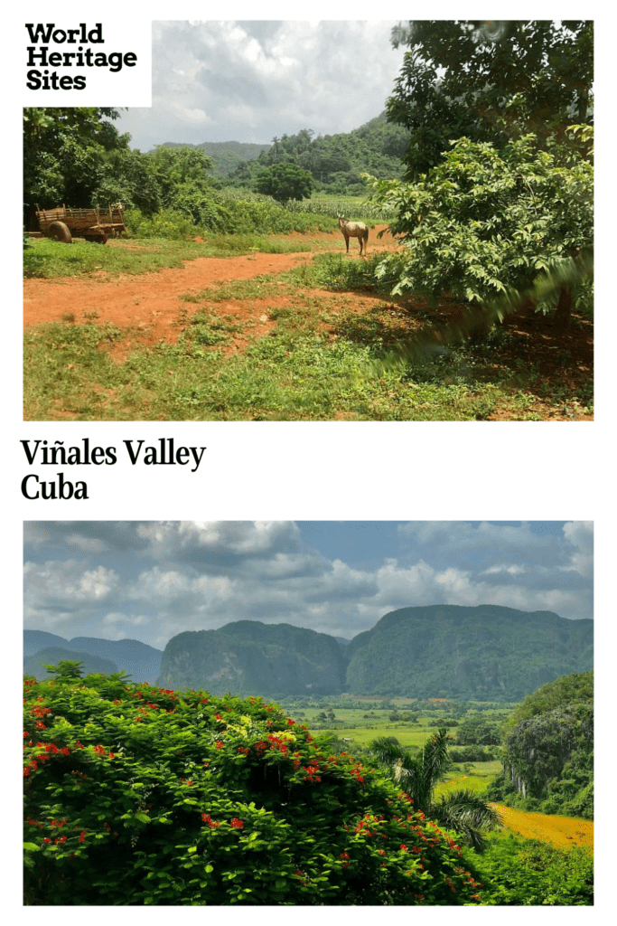 Text: Viñales Valley, Cuba. Images: above, a dirt road in a green landscape, a horse standing in the road; below, a view over the valley with the karst mountains on the other side of the valley.