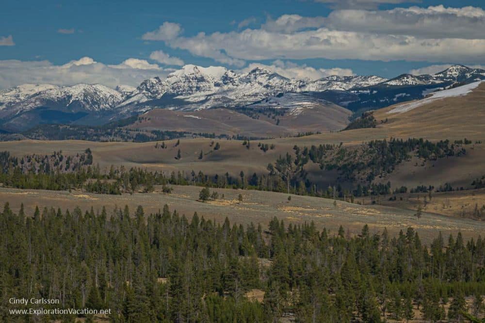 View of rolling hills with snow-capped mountains in the background at Yellowstone National Park.