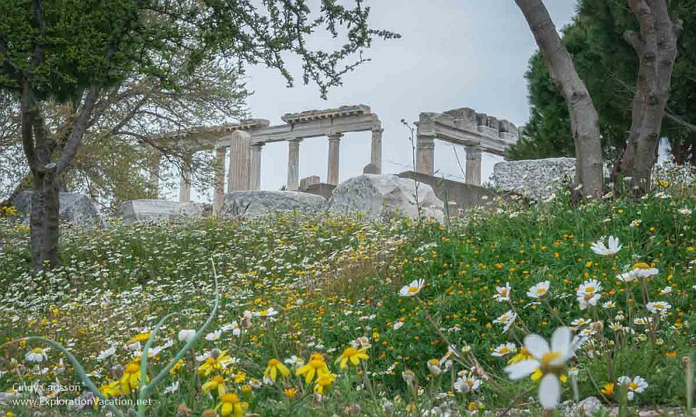 A view up a hill with, at the top, standing columns holding partial pediments, ornately carved. The hill in the foreground is covered in wildflowers.