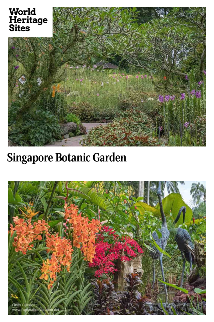 Text: Singapore Botanic Garden. Images: above, a view to a field with tall flowers; below, bright orange and pink orchids.