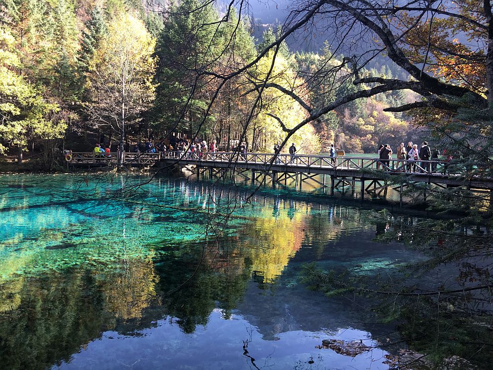 A view over a lake at Jiuzhaigou valley: green trees on the far bank, blue water through which the bottom is visible, people standing on a bridge that crosses the lake.