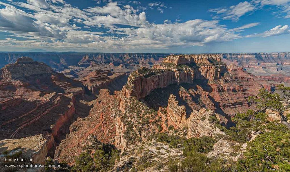 A view of the Grand Canyon from the North Rim: craggy rock carved by the river into horizontal layers of reddish rock.
