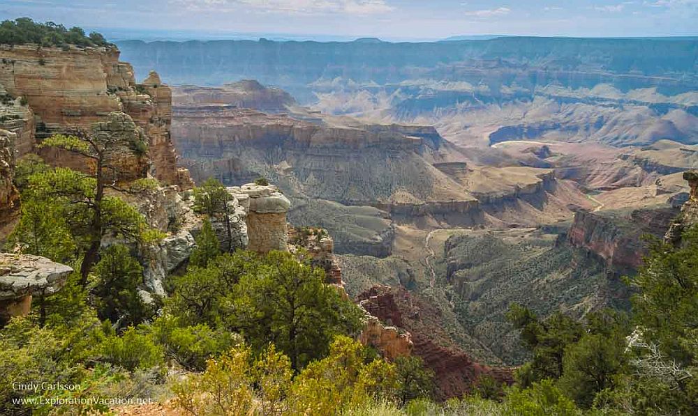 A view from the North rim of the Grand Canyon: trees and bushes in the foreground, then a big view of the canyon, with its carved horizontal layers of reddish rock.