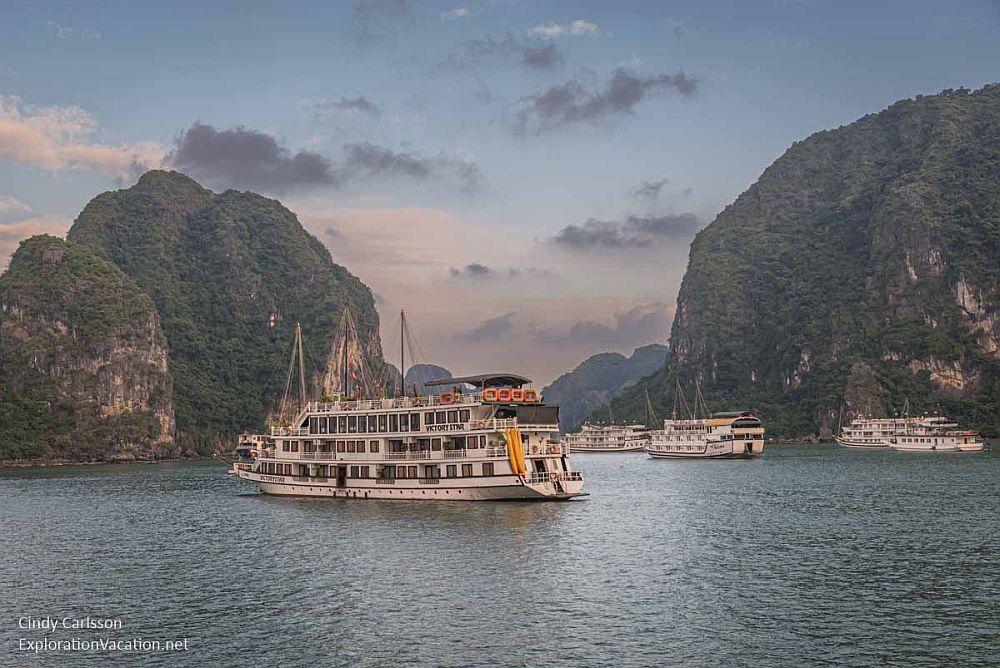 A small cruise boat in Ha Long Bay: windows line three stories, with an open deck on top and a row of portholes just above the water line. It is moored in front of an large rounded island. Behind are several more similar cruise boats, and more islands.