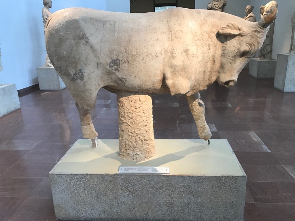In a museum, on a small stand, a carved statue of a cow or ox. It's quite detailed in terms of the muscles that show, and the animal's face. It is missing two legs.