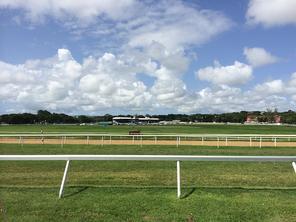 A view of the racecourse: white railings from left to right divide the viewer from the track. The track is grass but with a dirt track slicing through it, with white railings along both sides. More grass beyond that.