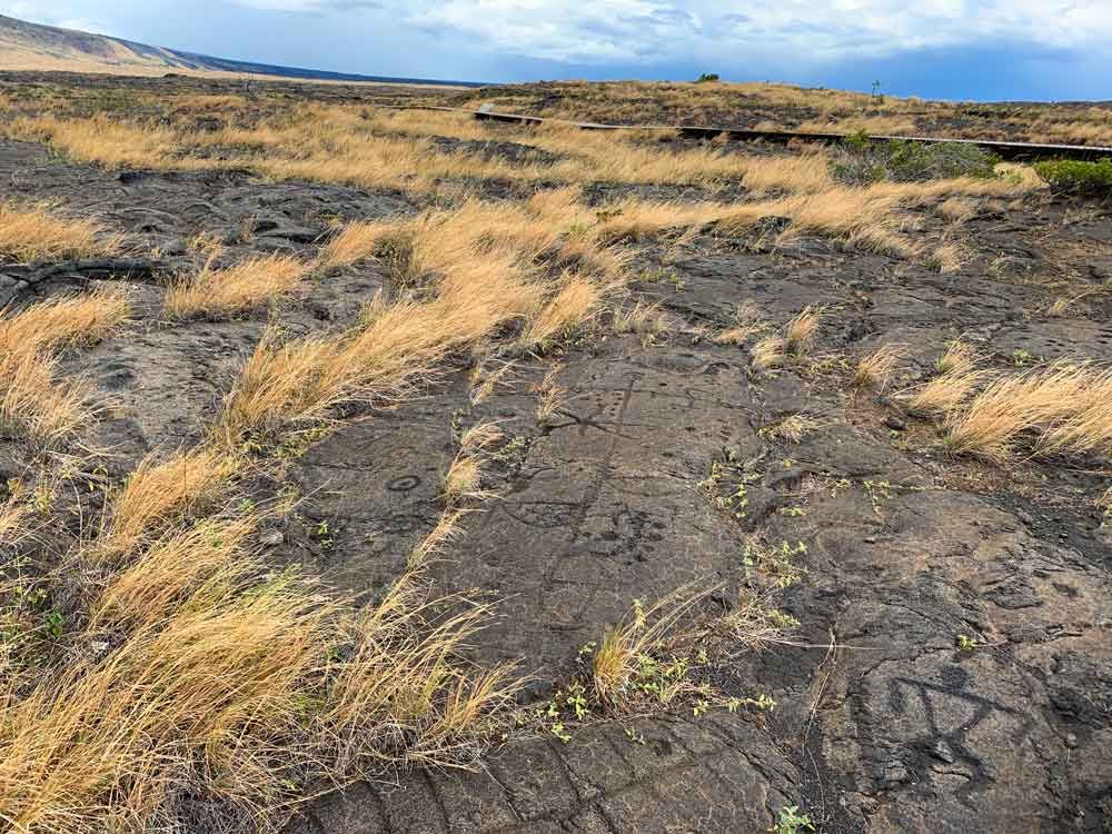 A fairly flat rocky plain, tufts of yellow grass here and there, and simple carvings visible on the rocks: a stick figure person most visible. 