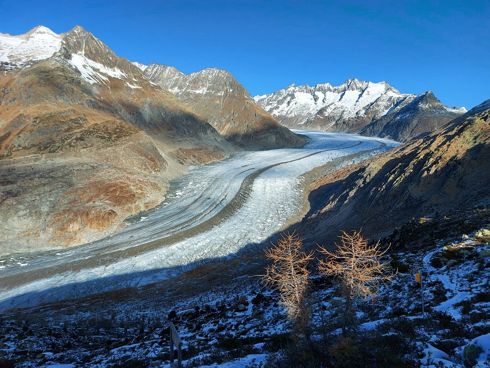 The glacier flows between rocky mountains, looking like a snow-covered river.