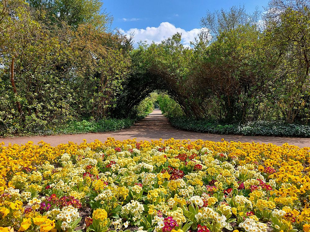 In the foreground, colorful flowers, mostly in shades of yellow, set very close together. In the background, a tunnel of greenery over a path into the distance.
