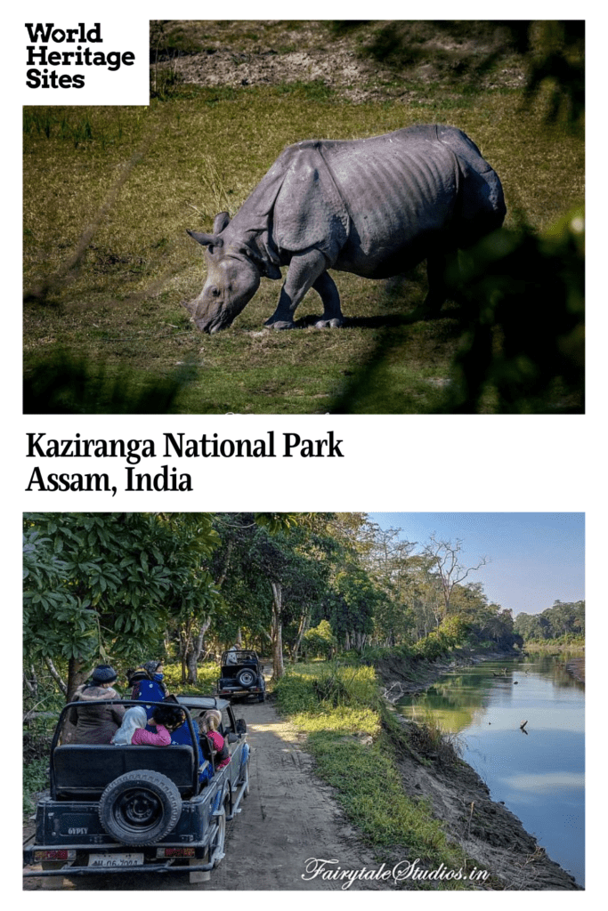 Text: Kaziranga National Park, Assam, India. Images: above, a one-horned rhino; below, a jeep safari on a dirt road beside the river.