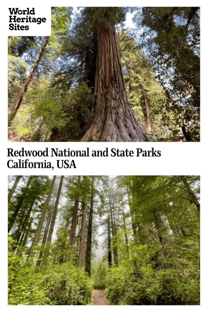 Text: Redwood National and State Park, Calfornia, USA. Images: Both are images of redwood trees.
