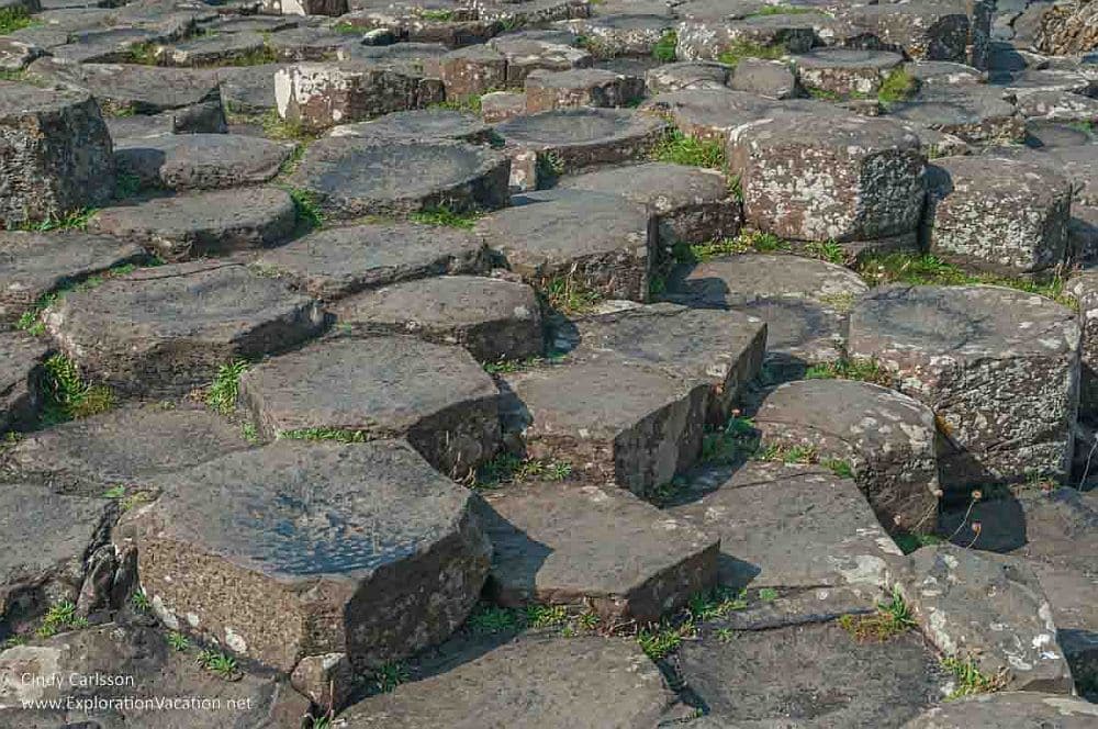 A close-up of a section of "pavement", looking like uneven tiles of stone.