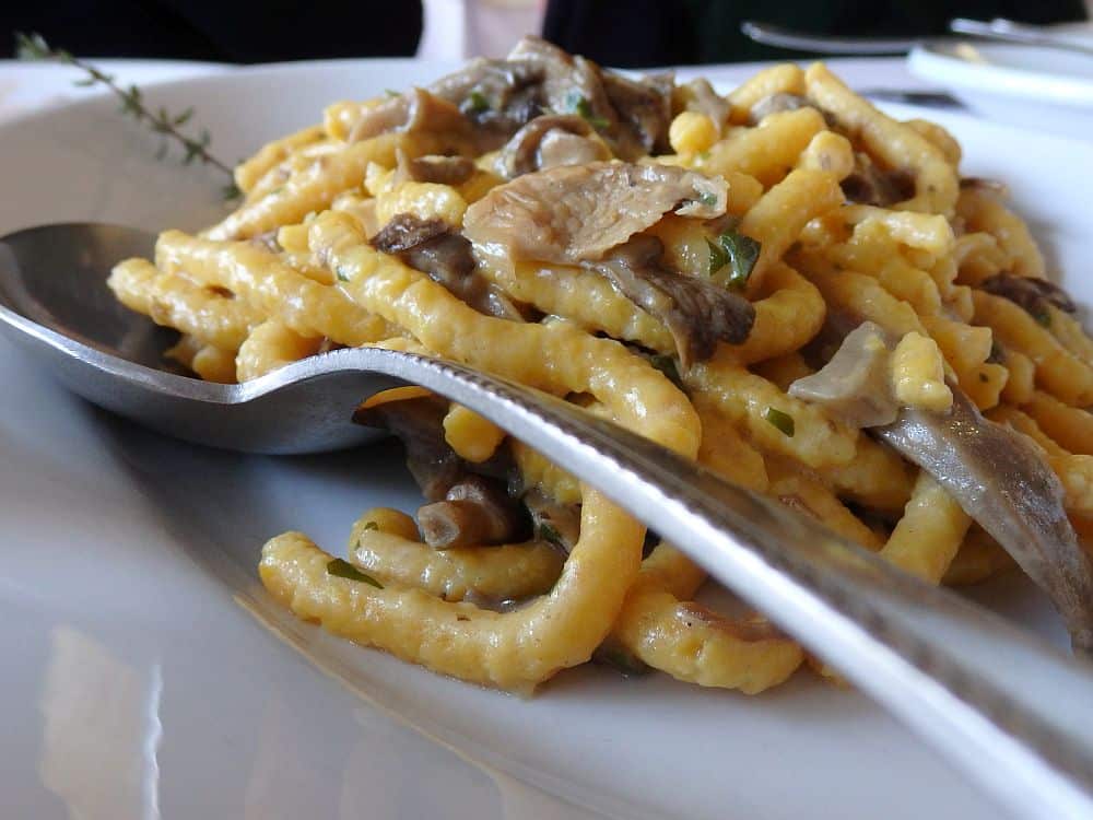 Close-up of a bowl of passatelli pasta with a light-colored sauce and bits of meat and mushrooms.
