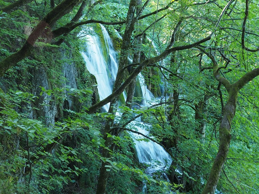 A long waterfall plunges down thorugh a woods.
