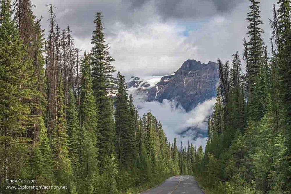 Canadian Rocky Mountain Parks: a road extends ahead through a pine forest. Ahead is a mountain peak with clouds around its base.