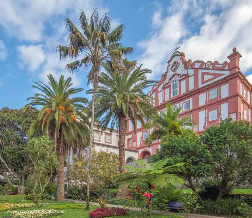 The museum is a several-story-tall building with decorative roofline and a cluster of palm and other trees in front of it.