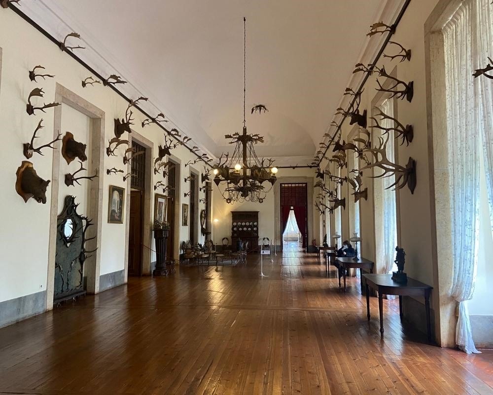 A long narrow room with a row of windows along one long side on the right. The walls are hung with many hunting trophies.