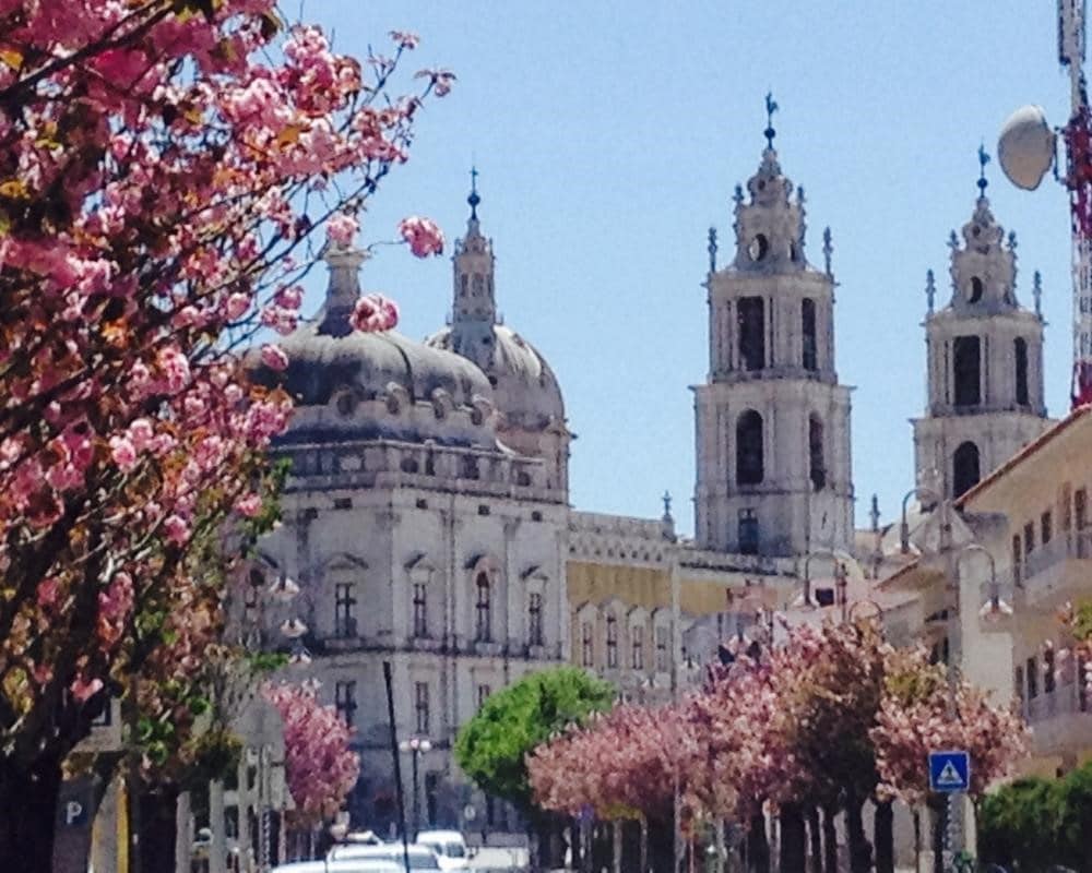 Looking at the building of Mafra from an angle: a very baroque design. Trees are flowering pink nearby.