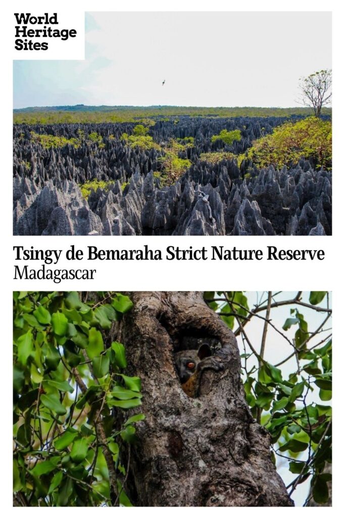 Text: Tsingy de Bemaraha Strict Nature Reserve, Madagascar. Images: above the pinnacles of Great Tsingy; below, a lemur peeks out of a hole in a tree.